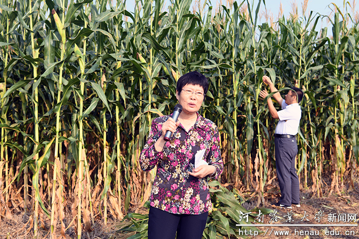 ʡ���ײ�ҵ��ϵ��ϯ��ѧ�ҡ�����
��������ڽ������������������